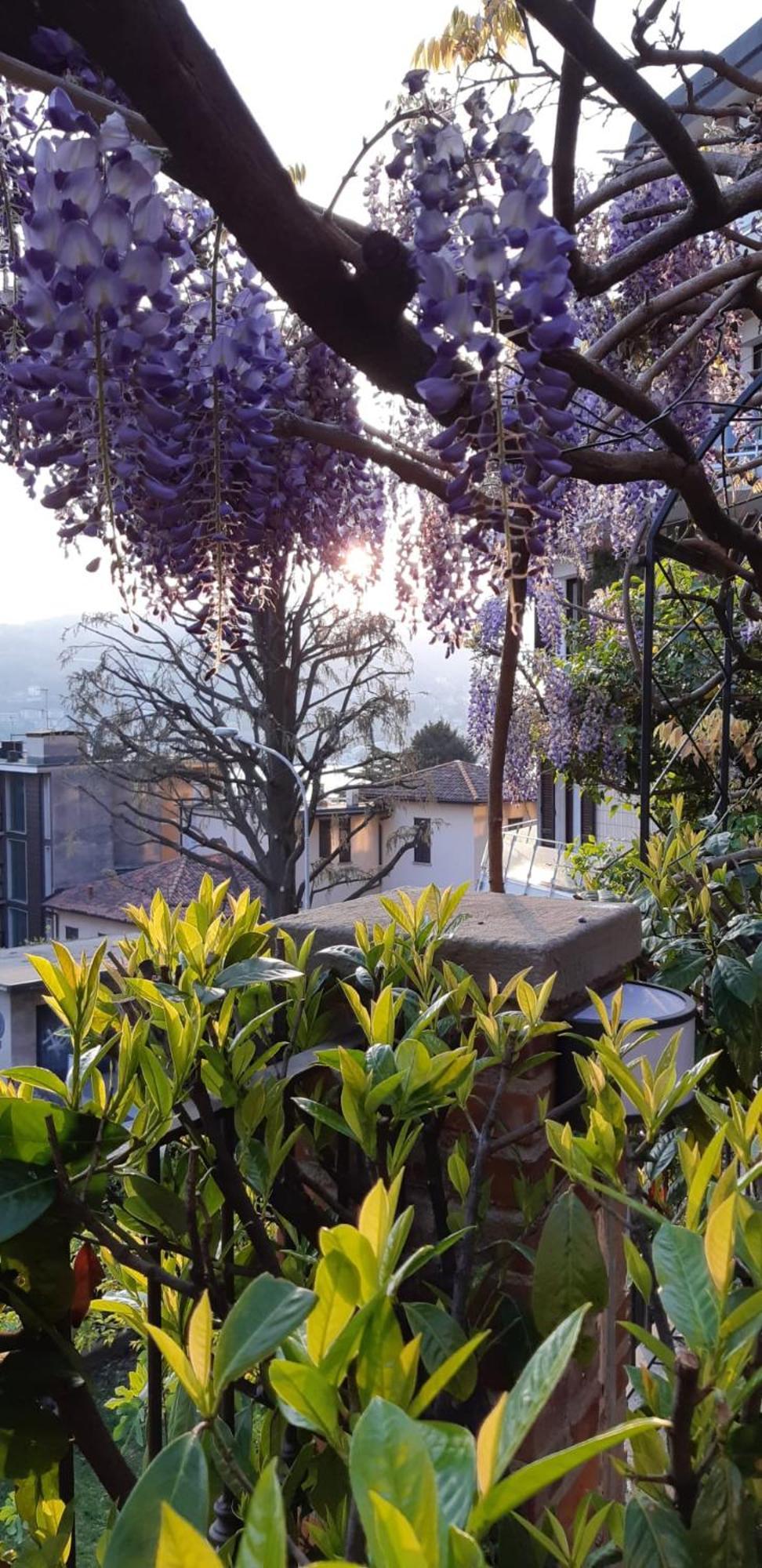 Giardino Quarcino House Apartment